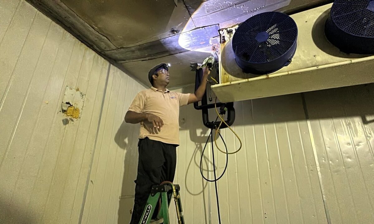 Working on the evaporator in a walk-in cold room